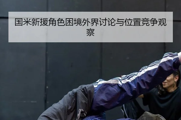 国米新援角色困境外界讨论与位置竞争观察